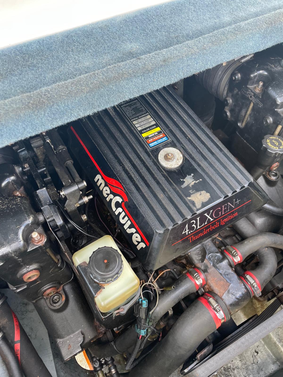 WhatsApp Image 2025-09-22 at 13.03.05 (5)