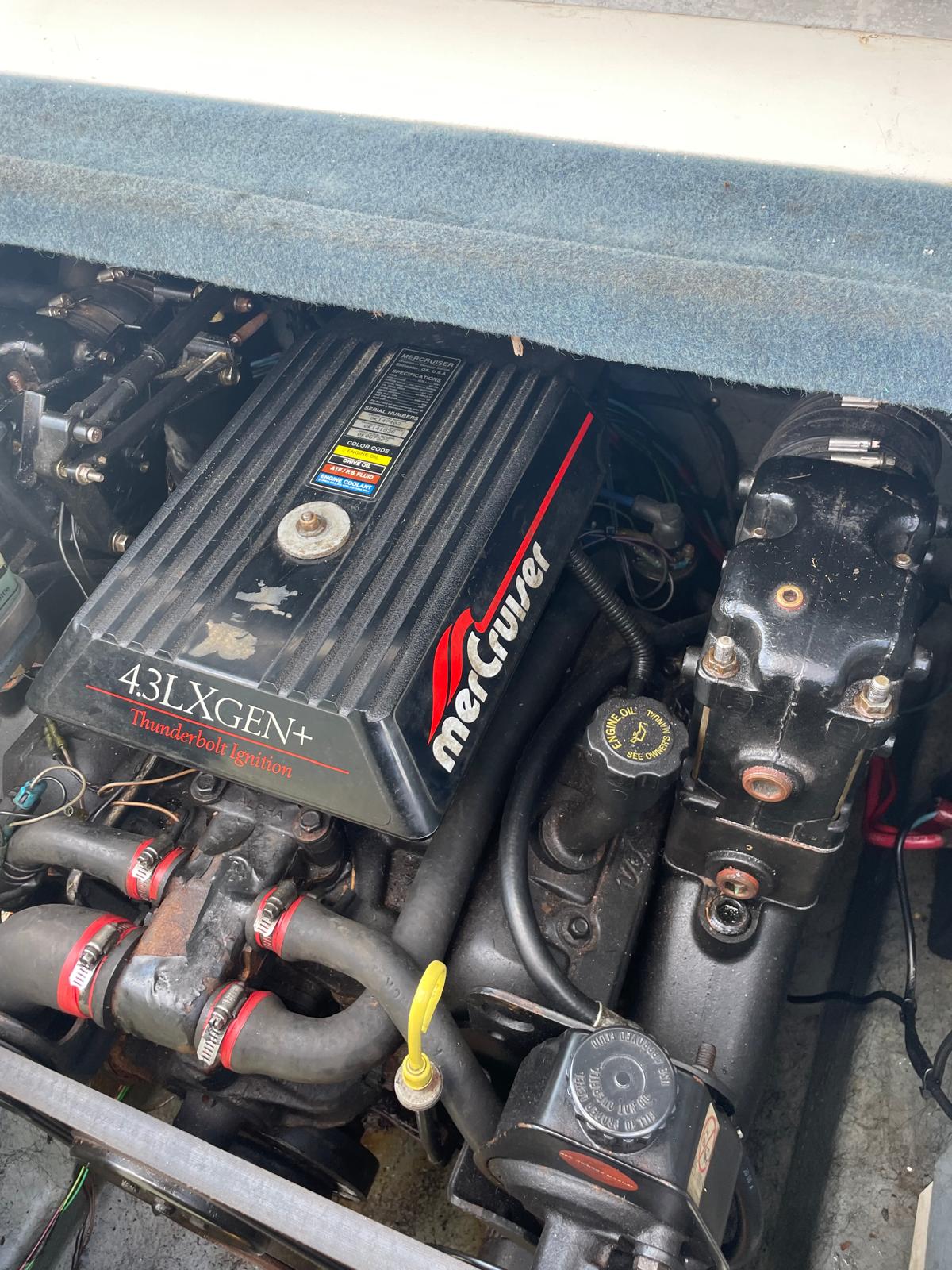 WhatsApp Image 2025-09-22 at 13.03.06